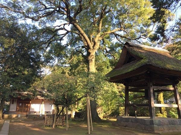 Masutomi Ryokan Хаконе Екстериор снимка